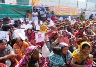 Image / illustration